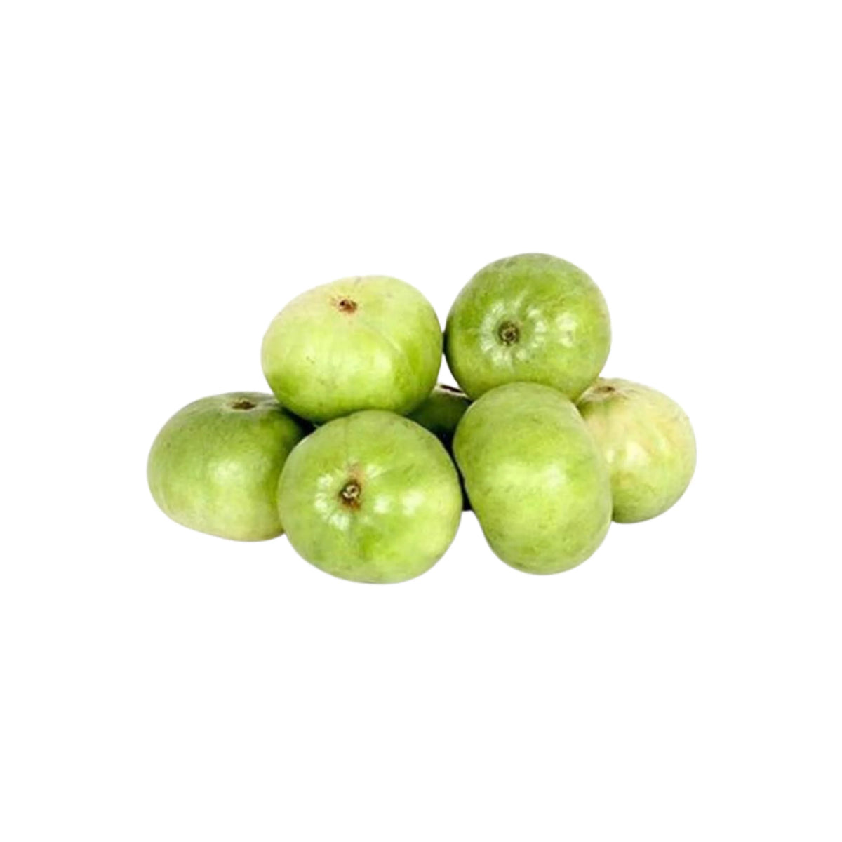 BC Bulk Tinda